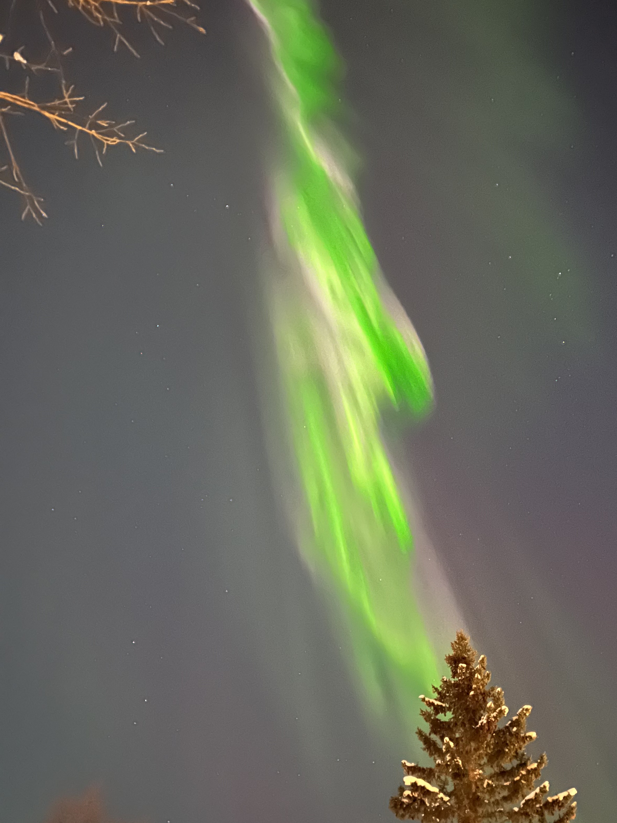 Northern Lights