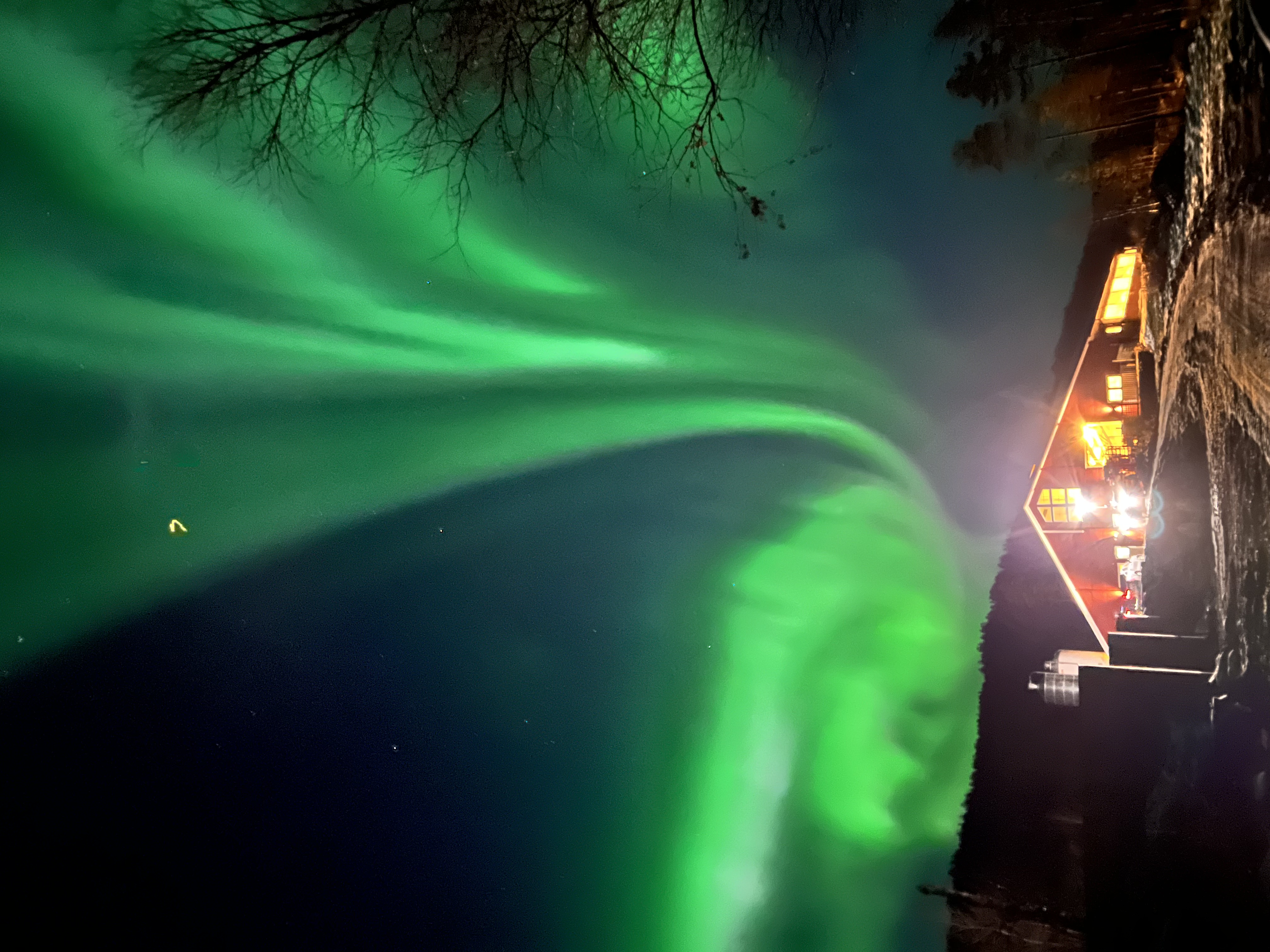 Northern lights over cow farm